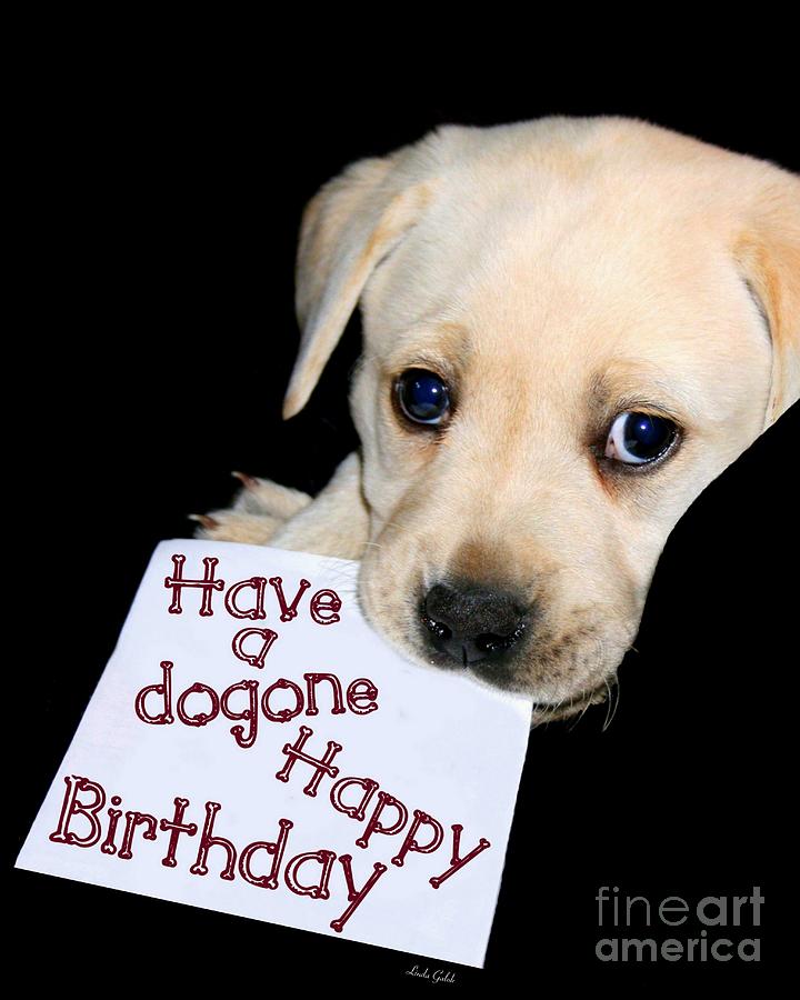 happy-birthday-puppy-card-linda-galok.jpg