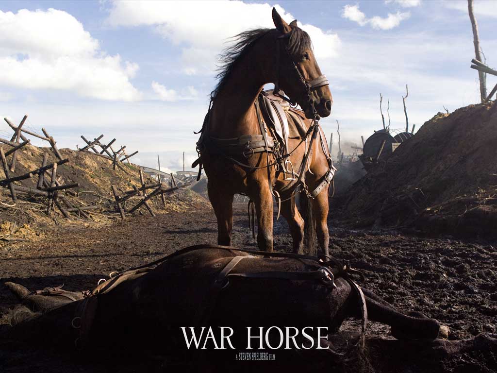 War-Horse-war-horse-the-movie-28220091-1024-768.jpg