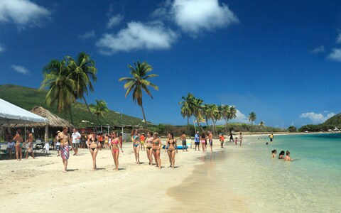 stkitts_beach_cockleshell.jpg